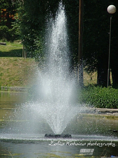 Wpis jabluszko98