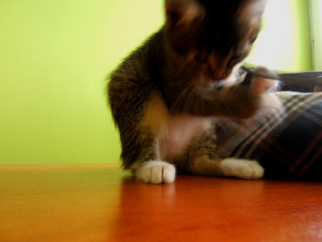 Effy