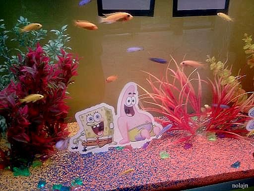 Spongebob.