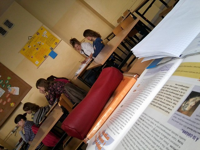 Wpis zolantka
