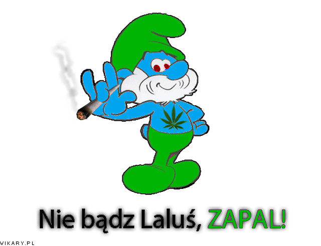 Wpis szajbu