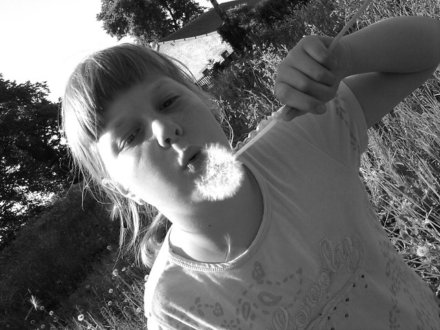 By Misiek . ' Dmuchawce ' . ;* .