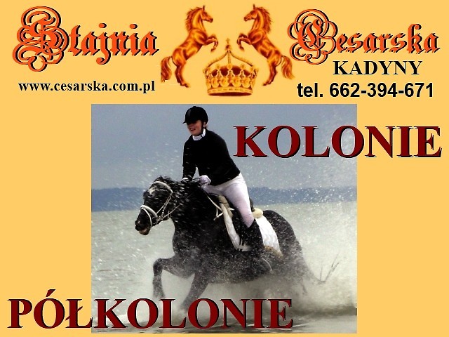KOLONIE