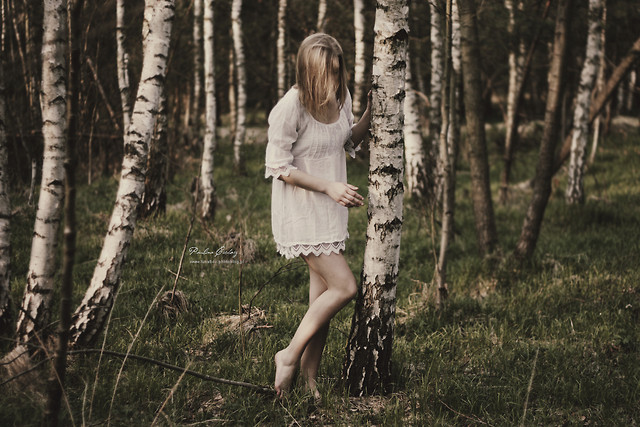 Wonderland?