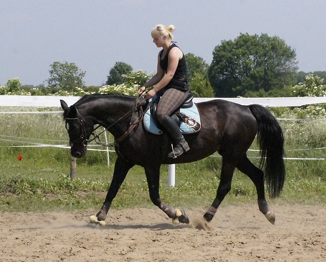 Wpis escada89