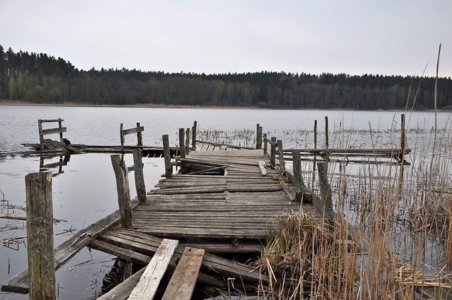 pacz i decyduj