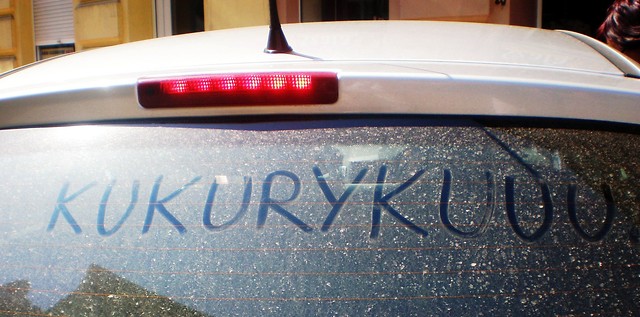KUKURYKUUU !