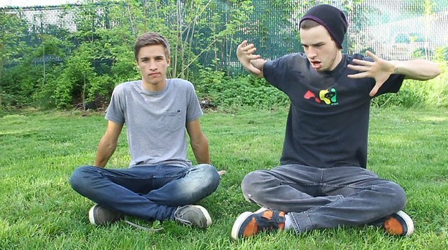Wpis culex