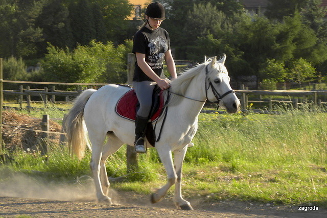 Nowy rozdzia :)