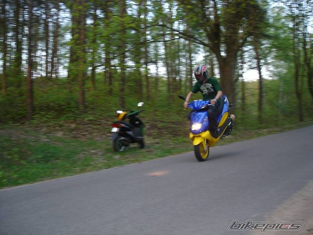 KOZAK xD