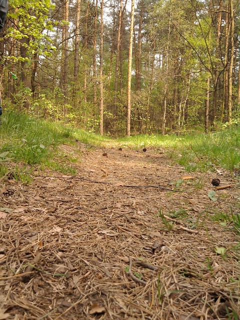 Obcowanie z natur.