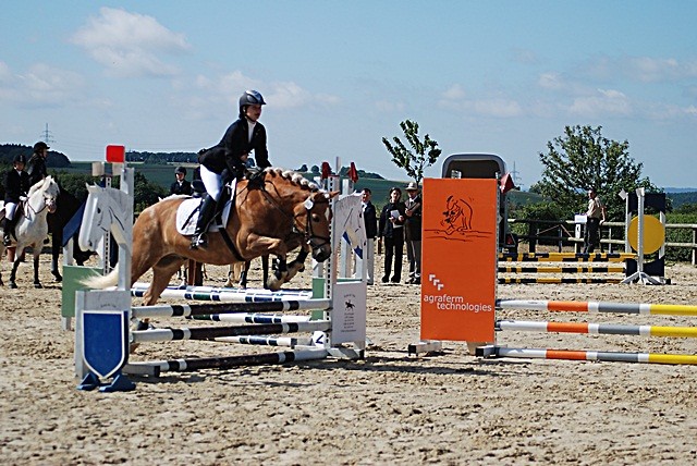 Wpis agaleonox