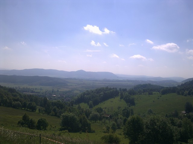 niedamirw