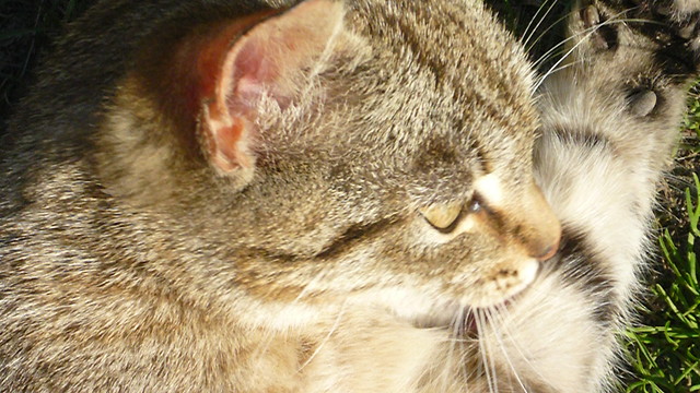 Wpis sylwia172