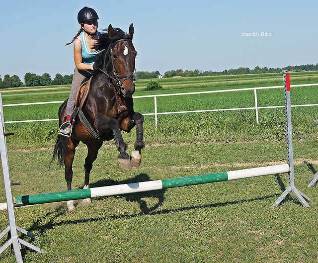 Wpis stabless