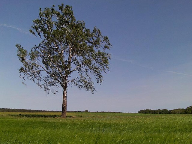 XII Rajd Kluka 2011