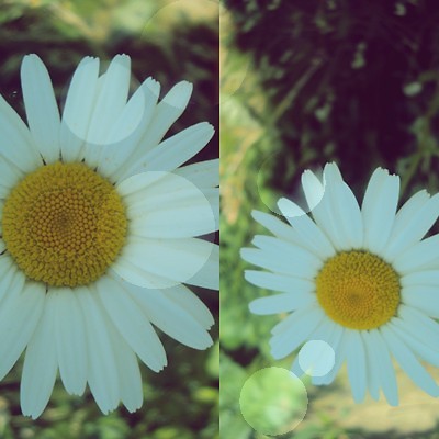 Wpis czarnafotografia