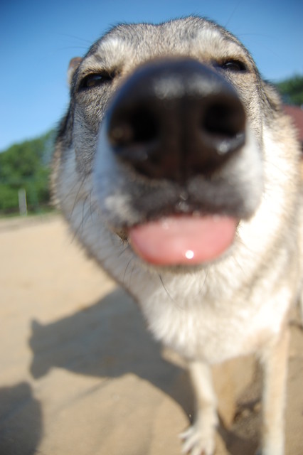 Luna