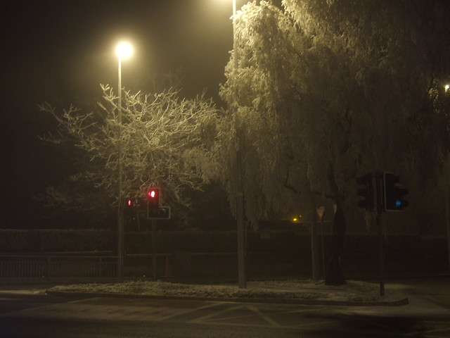 winter in Limerick / IRL