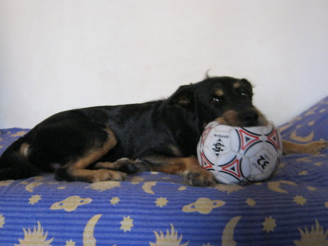 MaXiuuu 