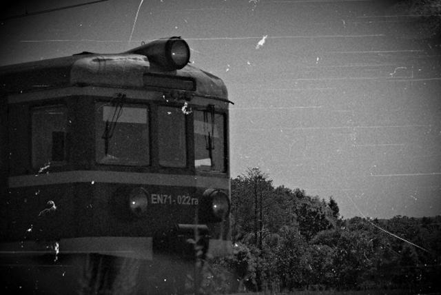 The train