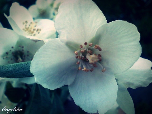 Wpis xxx1photography1xxx