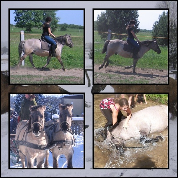 Mat i Nazir