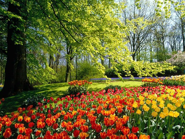 Park