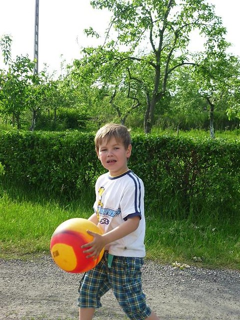 Wpis prokokop