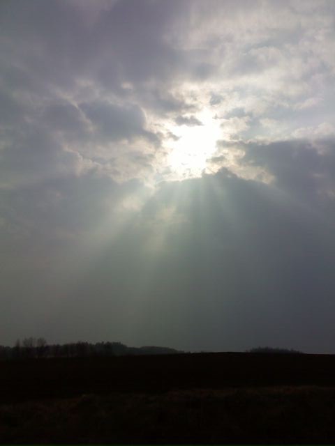 widze wiato