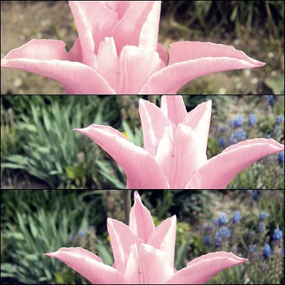 Wpis czarnafotografia