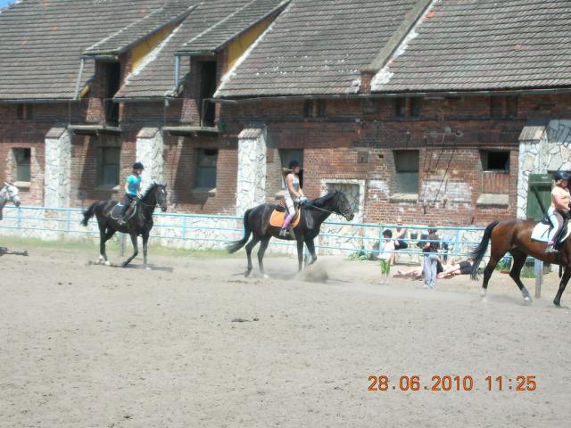 Wpis truskawka143