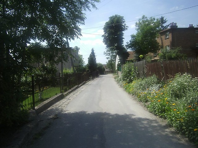 [33] Avenue