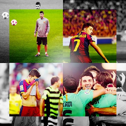 Wpis xviscaelbarcax