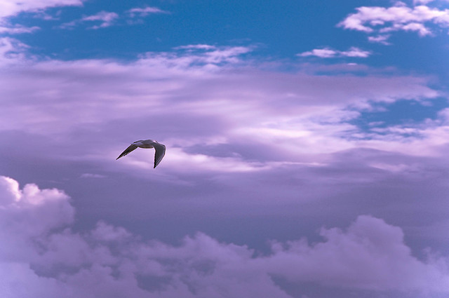 Natural freedom