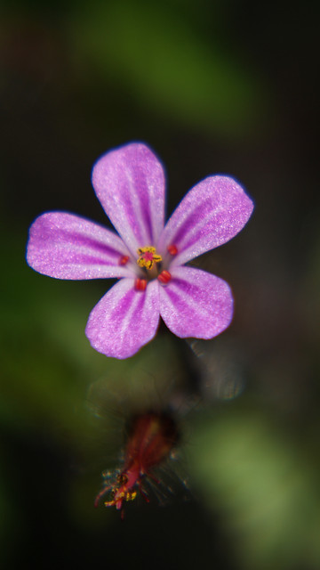 $4®4