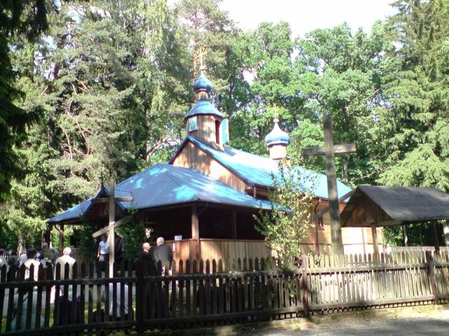 Krynoczka...