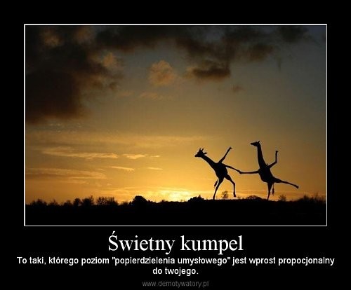 Wpis yoniger
