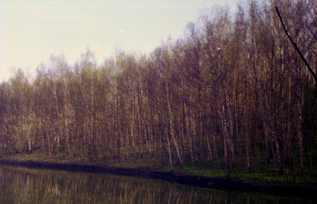 Wpis ikuko