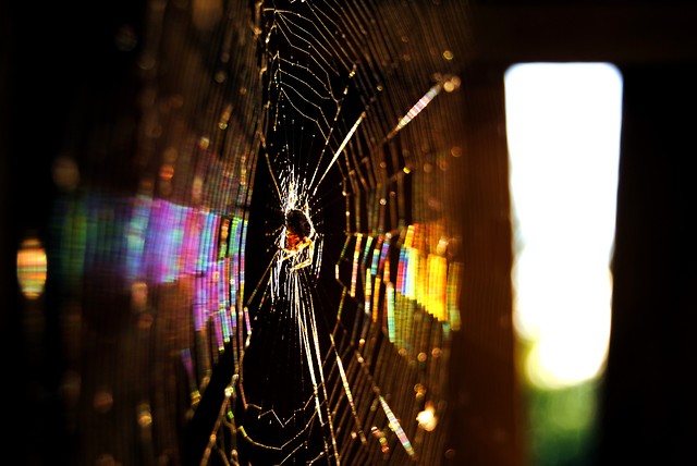 web 2.0