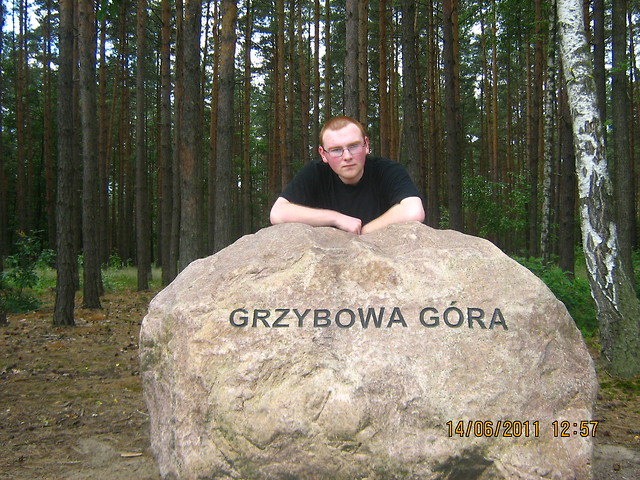 Grzybowa gra