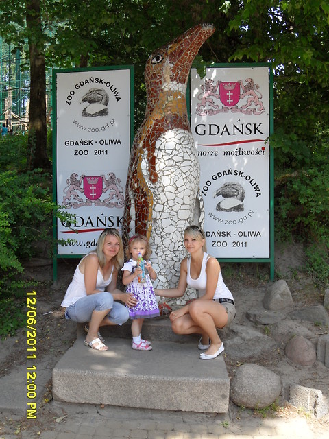zoo :)