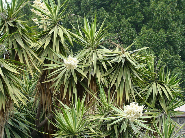 Nature.