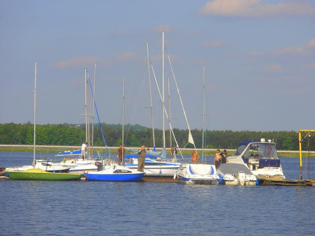 Wpis zmija19