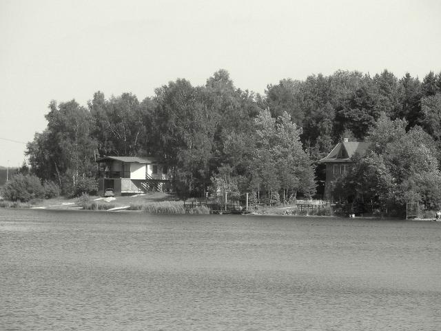 Wpis zmija19