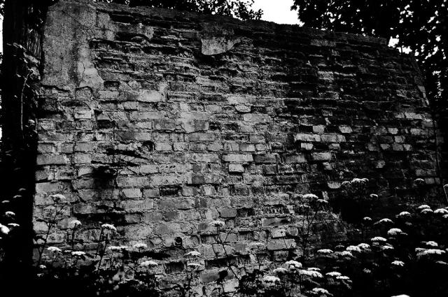 nieznany mur