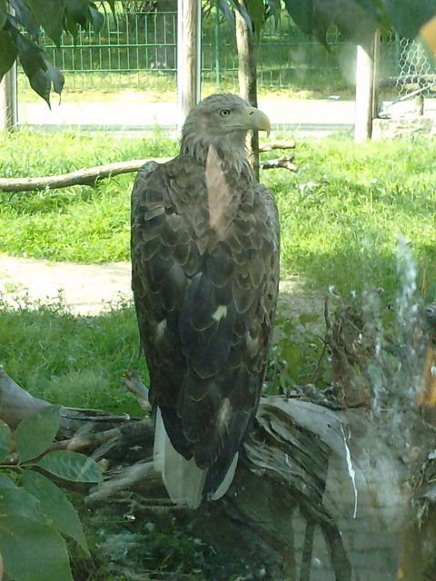 Wypad do ZOO
