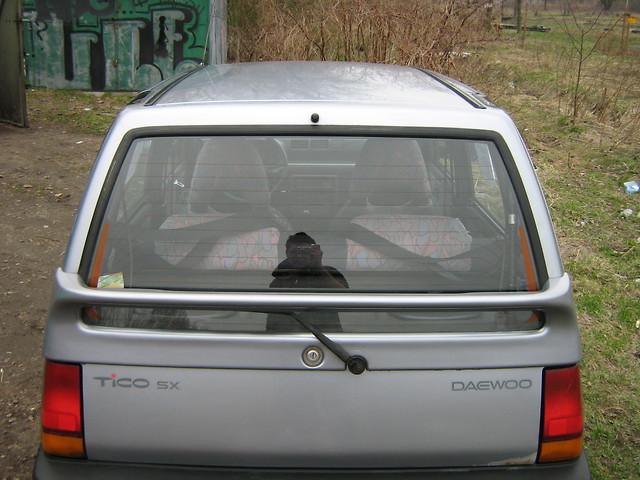 Tajko