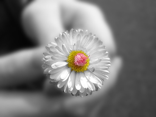 .just a dream