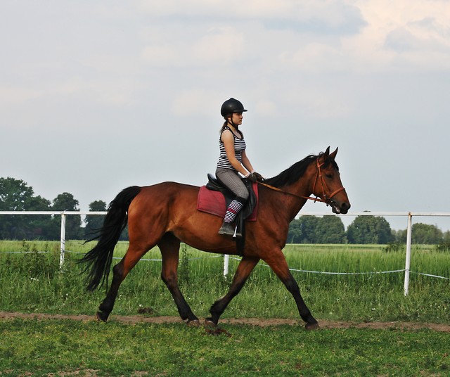 Wpis stabless